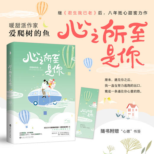 心之所至是你 商品图1
