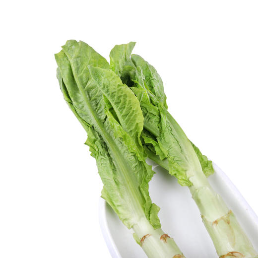 朴愿精选 来自四川阿坝州高原种植 有机莴笋梗 莴笋头 1根 商品图5