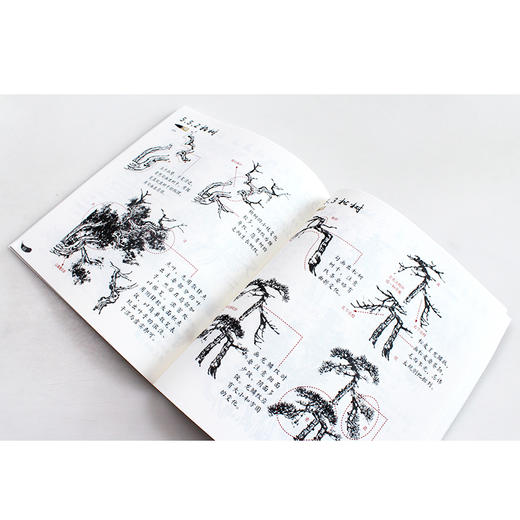 山水云树(大字大图版)/新手学国画 商品图1