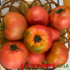 【全国包邮】宁夏银川戈壁滩的露天西红柿（12枚） 5斤±2两/箱  （72小时之内发货） 商品缩略图2