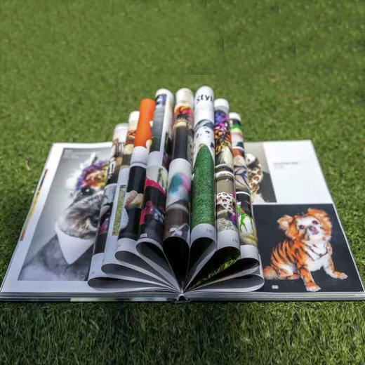 全球创意美容作品集 OPAWZ小爪印 商品图2