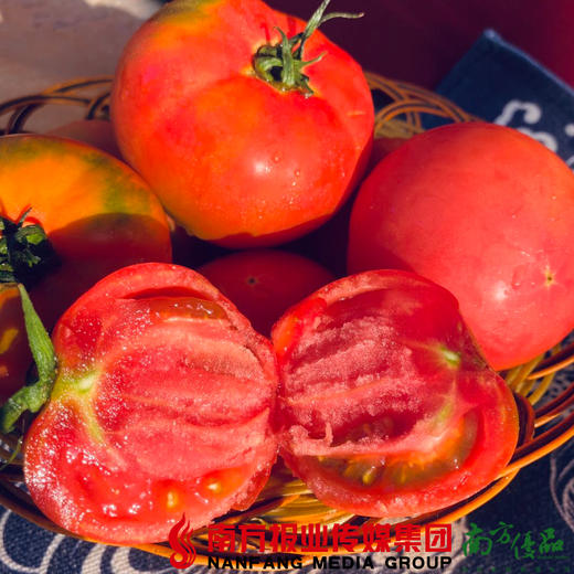 【全国包邮】宁夏银川戈壁滩的露天西红柿（12枚） 5斤±2两/箱  （72小时之内发货） 商品图1