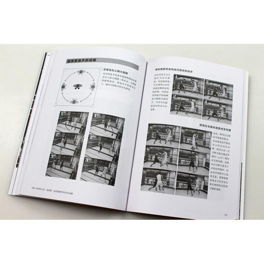 拳击运动入门教程:图解版 商品图3