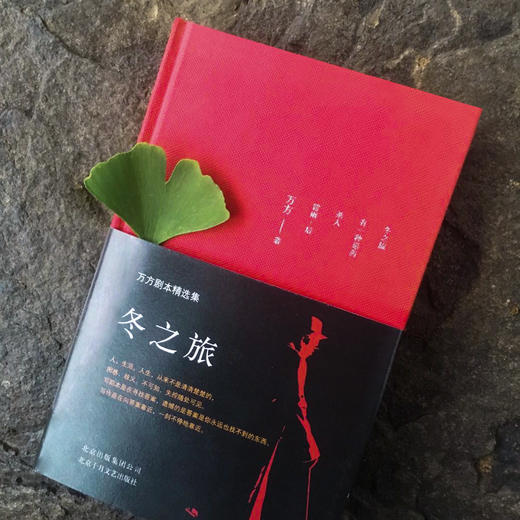 【官方现货包邮】万方：你和我+冬之旅 曹禺诞辰110周年 万方剧本精选集 曹禺之女万方老师著 商品图7