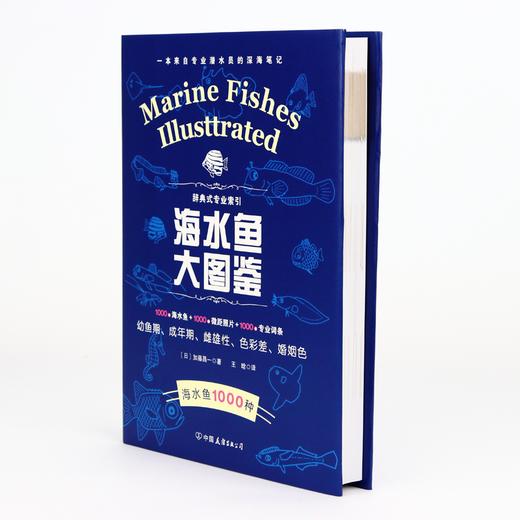 海水鱼大图鉴 商品图4