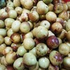 冬枣 甜枣 商品缩略图0