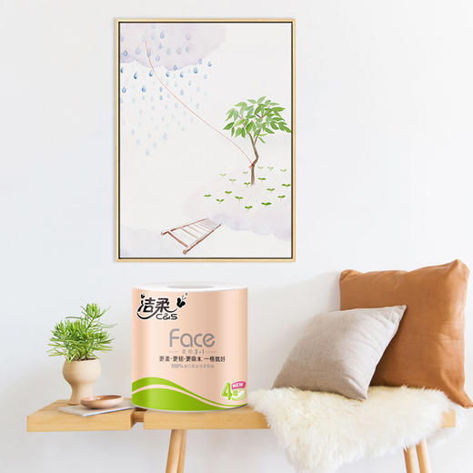 PJ199-12洁柔卫生纸(Face有芯)(12卷装)*3提 商品图2