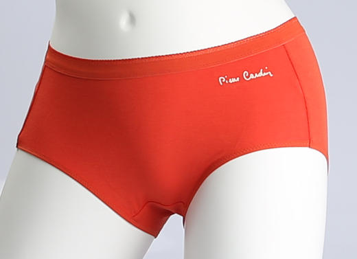 【加购需拍3条到手29.9元】皮尔卡丹女士平口裤 商品图2