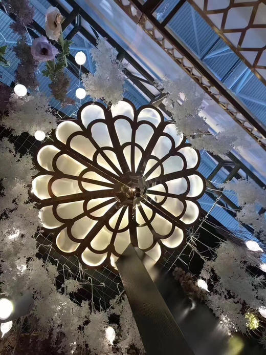 觉罗吊顶【运费自理】 商品图3