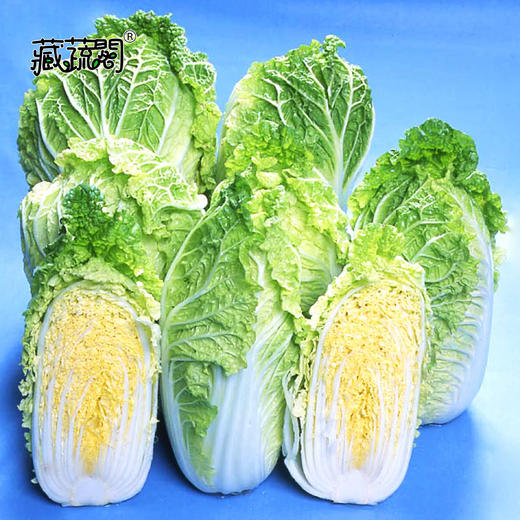 [庭院种子] 娃娃菜种子 "小宝" 商品图1