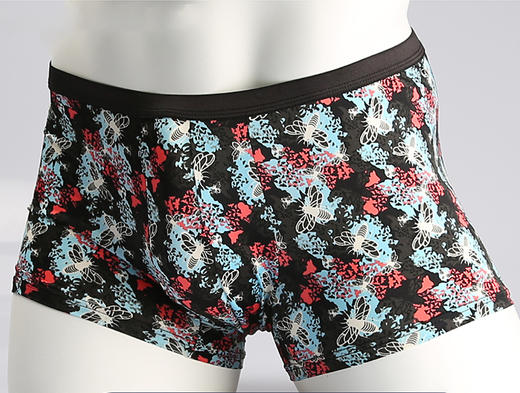 皮尔卡丹男士平口裤特惠拍3条 商品图11