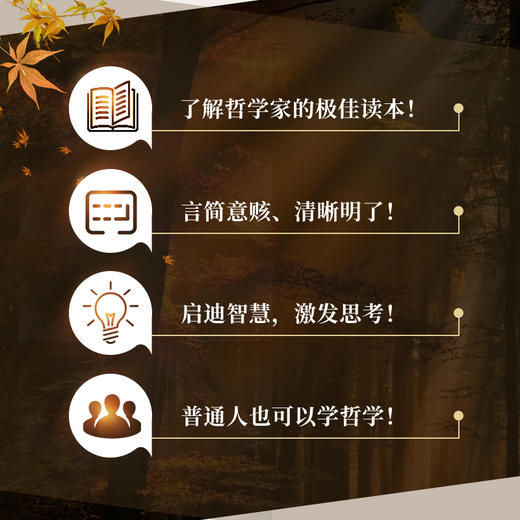 柏拉图 商品图3