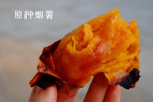 ‼️有活动（下单多送半斤，到手5斤）🧧烟薯25号，细软甜蜜的红薯 包邮 商品图0