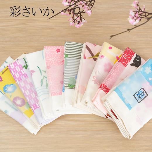 5F  毛巾美术馆  彩系列方巾  34*35 商品图3