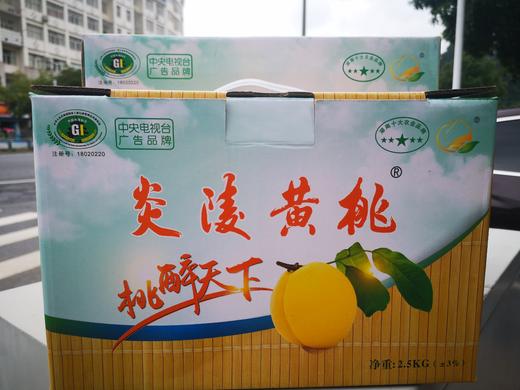 XZG-炎陵黄桃 特大5斤/箱～55元 中大5斤/箱～48元 商品图2