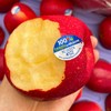 【新西兰皇后红玫瑰苹果】4个/份 脆甜，皮薄，香味浓郁，红润如玫瑰花 商品缩略图3
