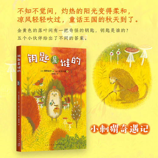 钥匙是谁的 商品图1