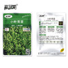 [庭院种子]  "小叶苦苣"生菜种子 商品缩略图2