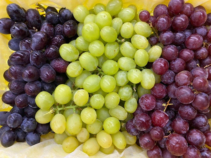 周六秒杀三色葡萄口感香甜细腻自带香气让人惊艳入口化成一汪蜜