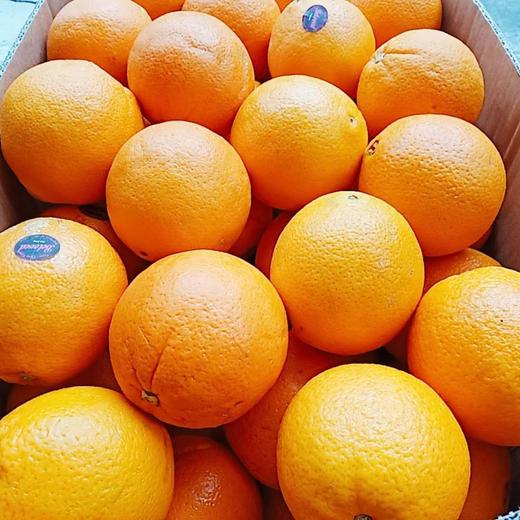 澳洲血橙酸甜可口来自南半球的舌尖之旅美味清甜微微的酸味口感丰富咬