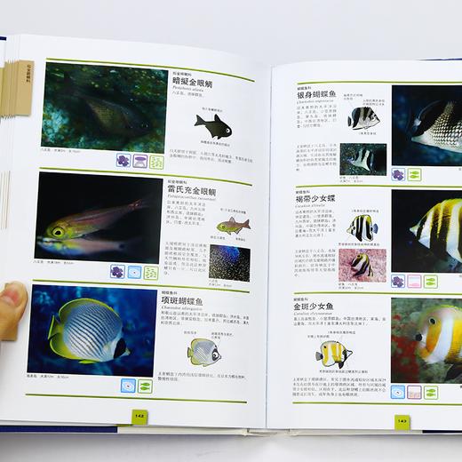 海水鱼大图鉴 商品图2
