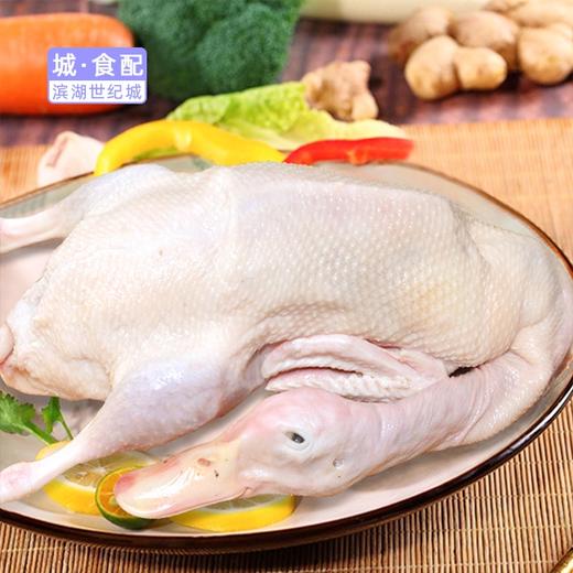 bhtg城食配土鸭白鸭鲜鸭1只净膛约445斤