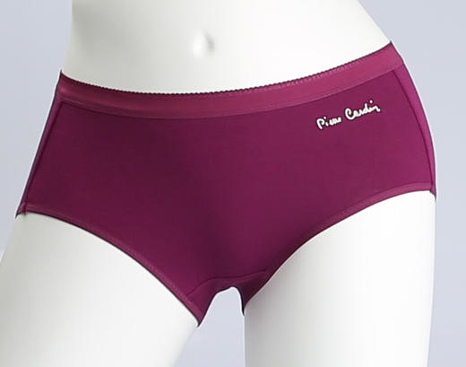 【加购需拍3条到手29.9元】皮尔卡丹女士平口裤 商品图4