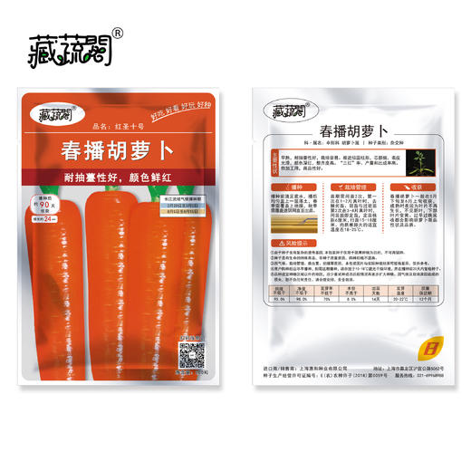[庭院种子] 春播胡萝卜种子 "红圣十号" 商品图2