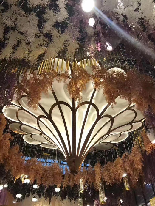 觉罗吊顶【运费自理】 商品图0