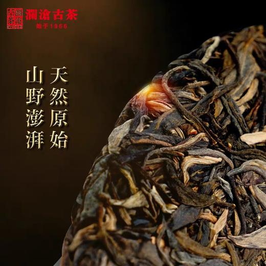 澜沧古茶2020年霸道普洱茶生茶勐海布朗山古树茶叶大饼357g 商品图1