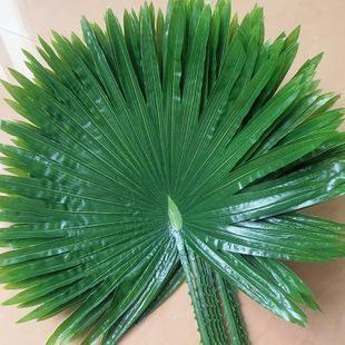 配叶-扇浦叶-5枝/扎 商品图0