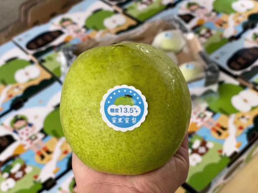 【乐拉蜜里蜜梨】4个/10个装 商品图0