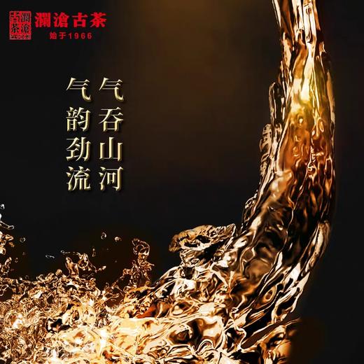 澜沧古茶2020年霸道普洱茶生茶勐海布朗山古树茶叶大饼357g 商品图3