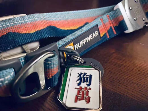 woofcard犬猫定制项圈胸牌款式多可爱身份牌 激活码 商品图12