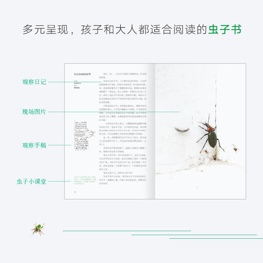 朱赢椿：虫子旁 商品图3