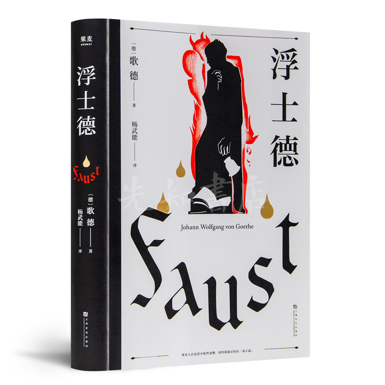 【德】歌德 《浮士德》（杨武能译本）