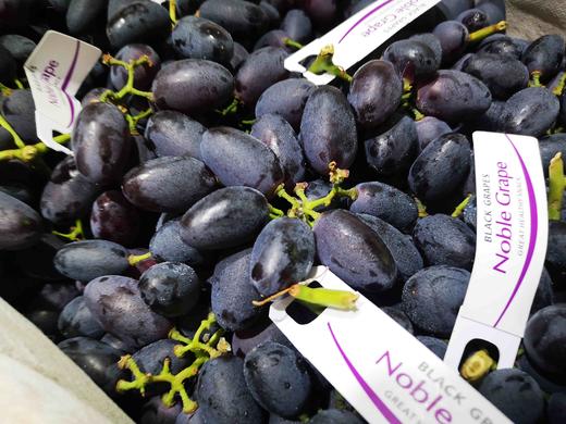 澳洲黑加仑葡萄69元二斤