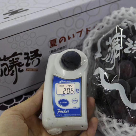 推荐这款好吃的藤语葡萄，连挑剔的女儿都说“这个葡萄太好吃了！甜炸🍇无敌暴力甜，个头大，掉粒少，就是典型的巨峰葡萄口感，皮和肉很容易分离，味道很浓‼️ 商品图12