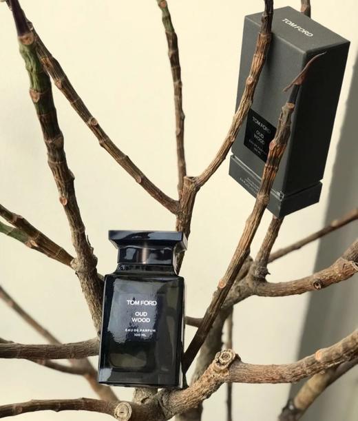 TOMFORD汤姆福特 TF珍华乌木沉香50ml/100ml 随性轻洒 致臻魅力 商品图2