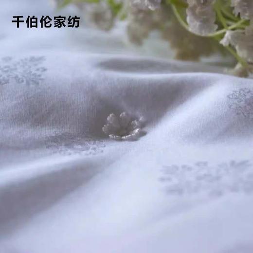 5F千伯伦至臻桑蚕丝被 200*230cm 商品图0