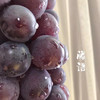 推荐这款好吃的藤语葡萄，连挑剔的女儿都说“这个葡萄太好吃了！甜炸🍇无敌暴力甜，个头大，掉粒少，就是典型的巨峰葡萄口感，皮和肉很容易分离，味道很浓‼️ 商品缩略图11
