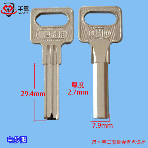 电步阳 商品图0