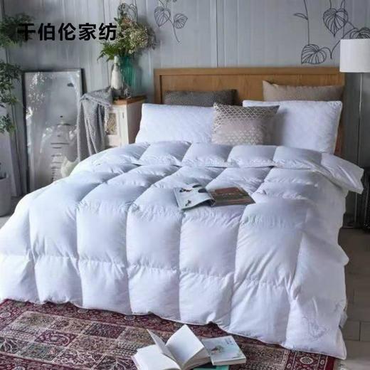 5F千伯伦臻品鹅绒被 200*230cm 商品图0