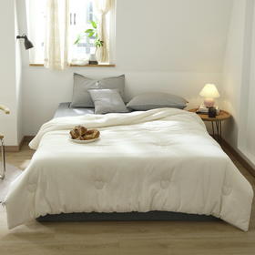 A类全棉大豆被 四季被 A-5344