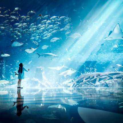 三亚旅游亚特兰蒂斯酒店套餐水族馆海棠湾亲子游