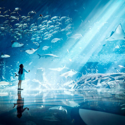 三亚旅游亚特兰蒂斯酒店套餐水族馆海棠湾亲子游 商品图0