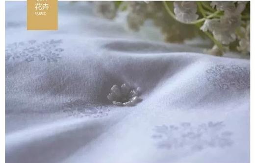 5F千伯伦至臻桑蚕丝被 200*230cm 商品图2