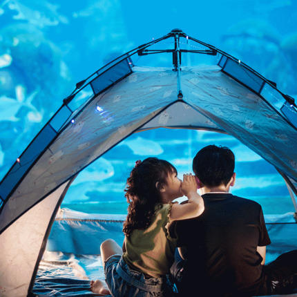 三亚旅游亚特兰蒂斯酒店套餐水族馆海棠湾亲子游 商品图3