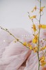 YM奶油纱120*300cm 商品缩略图10