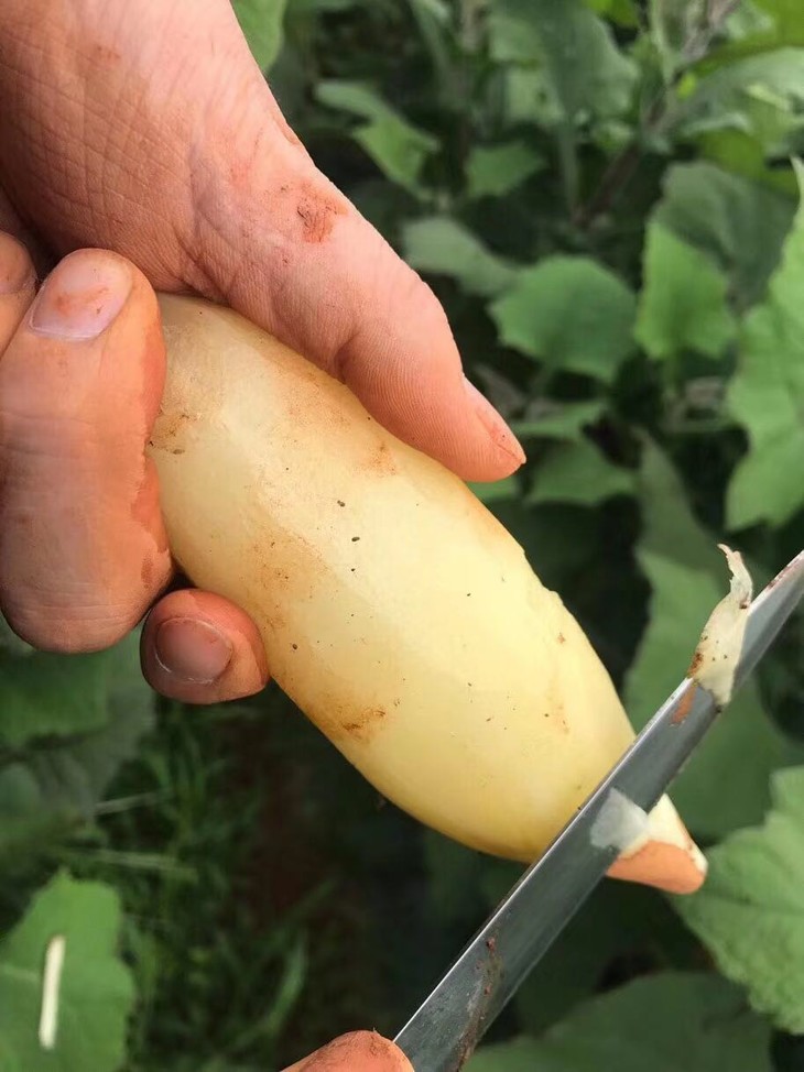 7a539cf91dad5b0bfba4c4f53fbb79